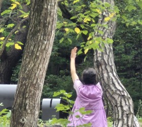 25.09.07 주왕산 야외수련 후기 -서울지부장 오병곤